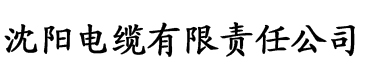 91香蕉视频日韩电缆厂logo